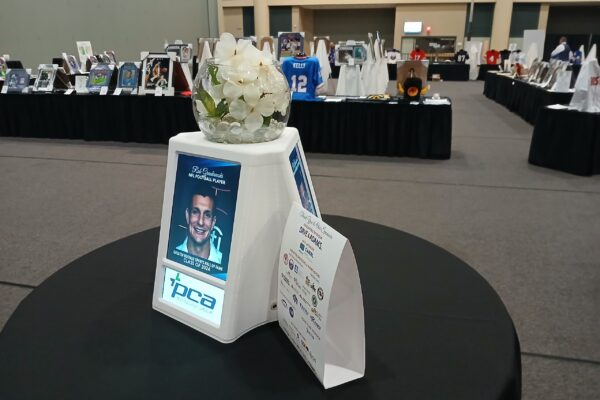 DTD-Photo-WS20241112_160052