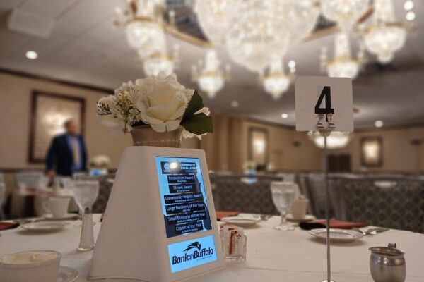 DTD-Photo-WS20241107_102158