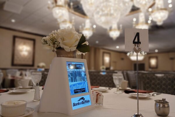 DTD-Photo-WS20241107_102211