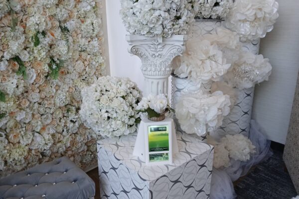 DTD-Photo-WS20241107_132000