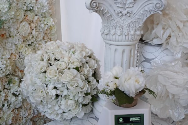 DTD-Photo-WS20241107_132005